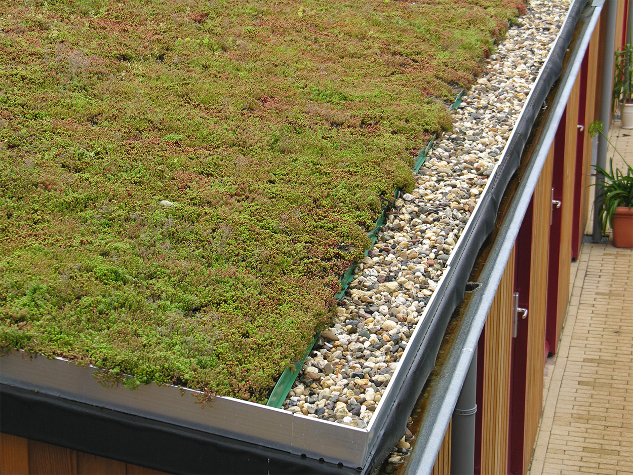 Green Roofers living roof landscape