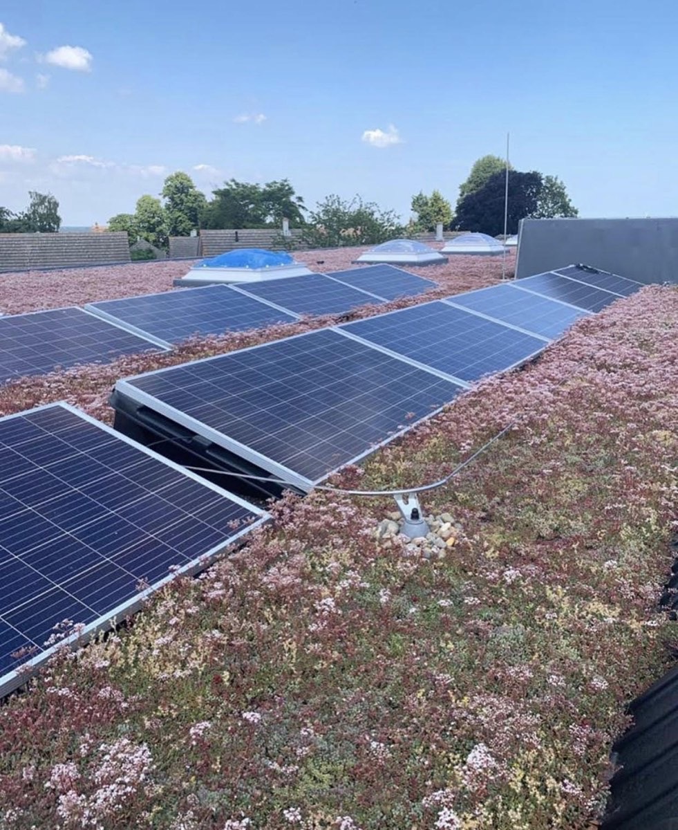 Biosolar Roofs