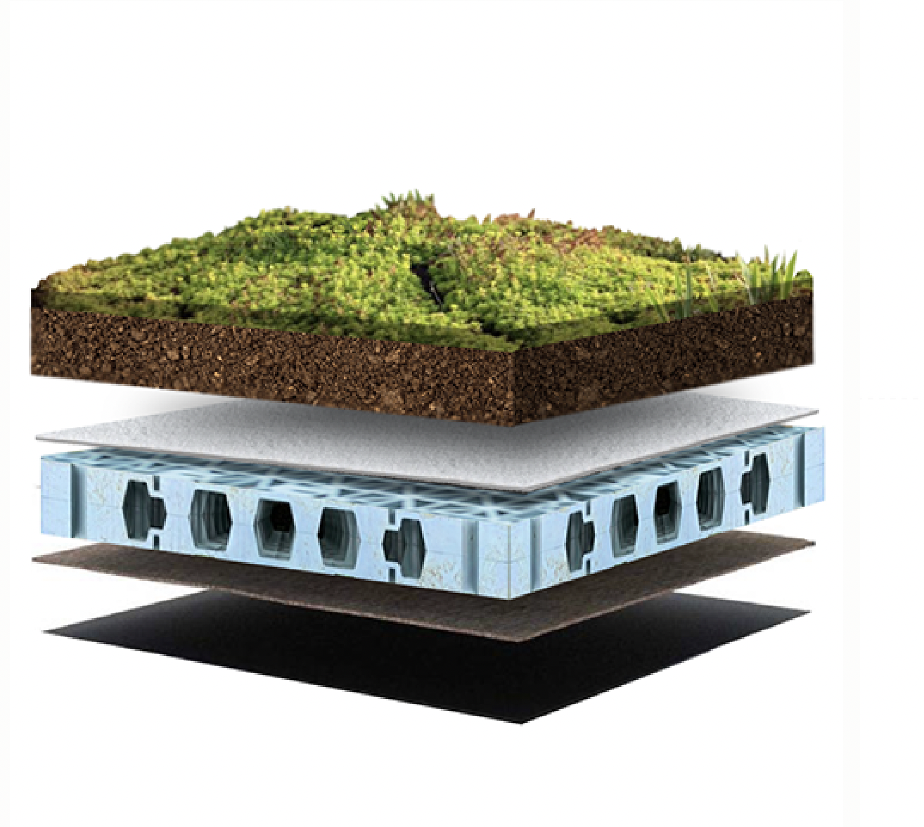 Illustration showing planting above a blue roof water storage system