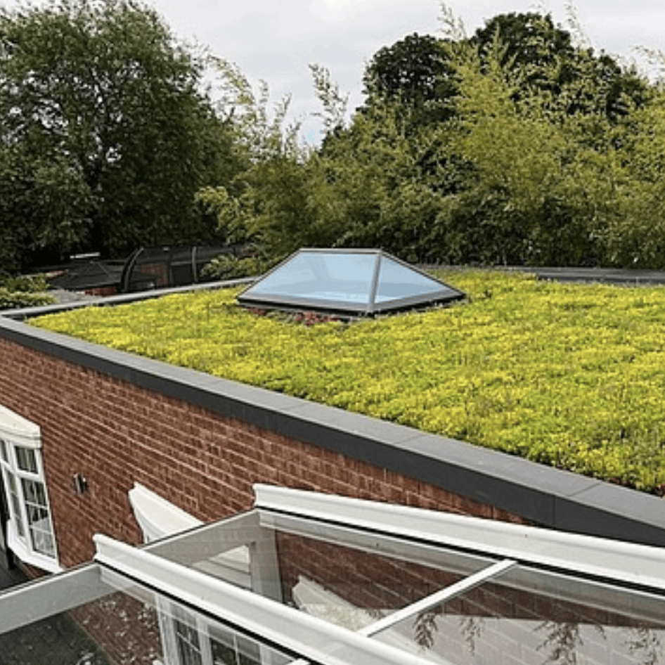 Established green roof with a rooflight
