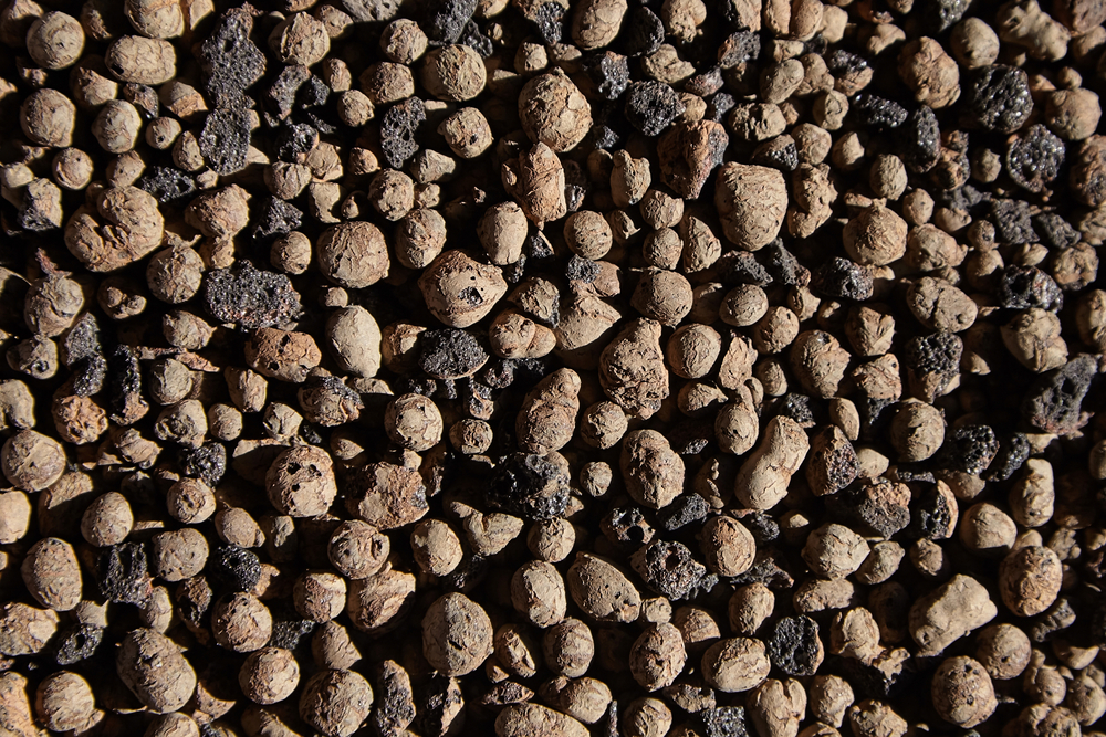 GRBIoD LIGHTWEIGHT BIODIVERSE SUBSTRATE