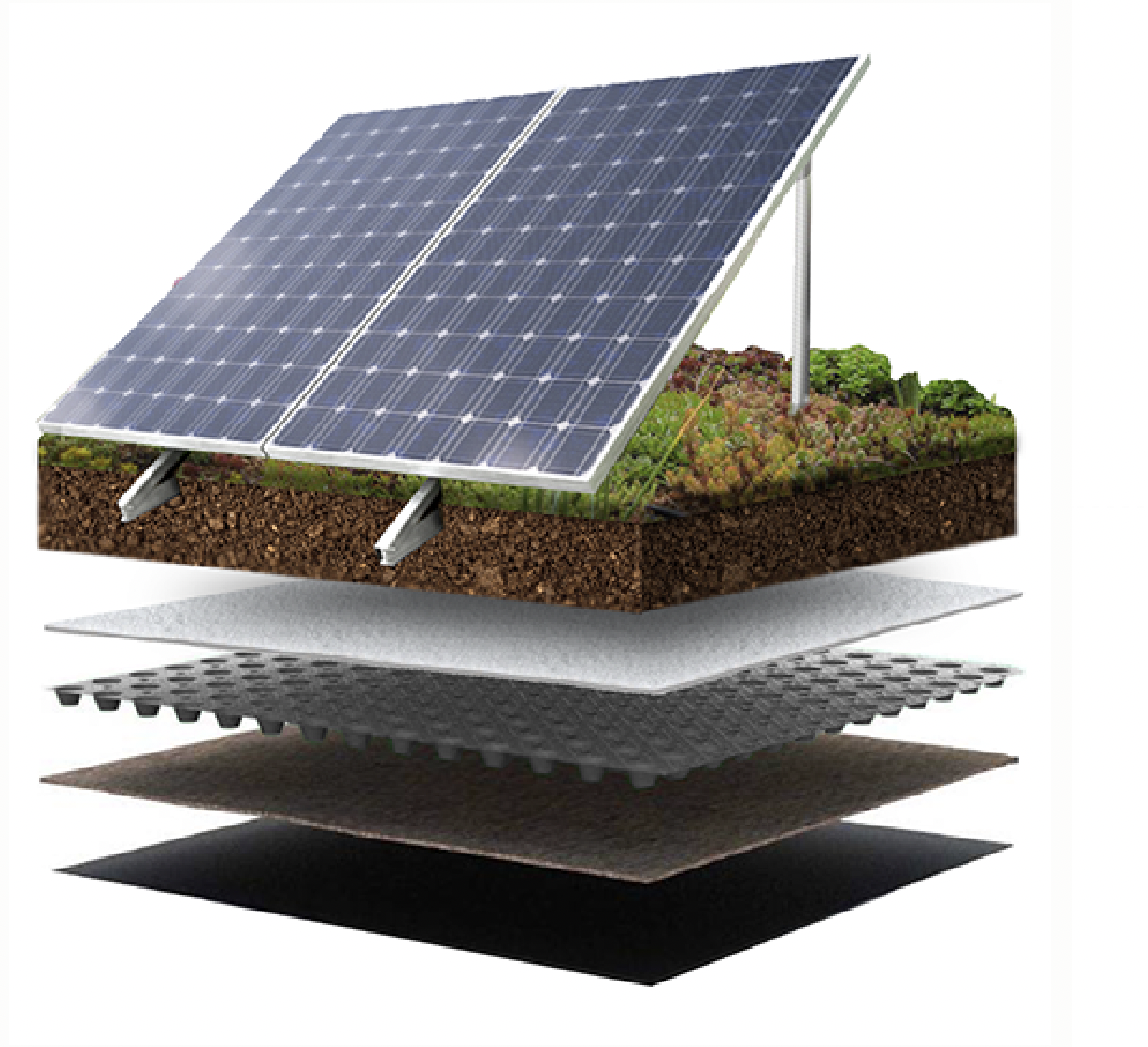 Exploded illustration of elevated solar panels, vegetation and green roof layers